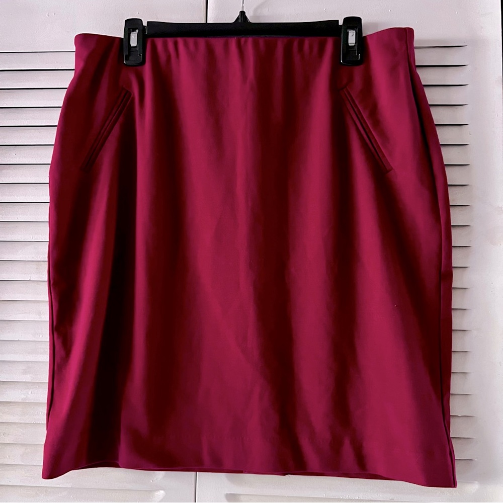 Donna Ricco New York Skirt